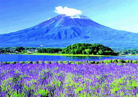 國航直飛日本本州經(jīng)典6日游_雙古都金閣寺+富士山_溫泉酒店